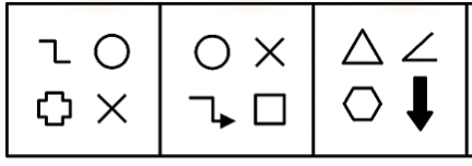 种类示例